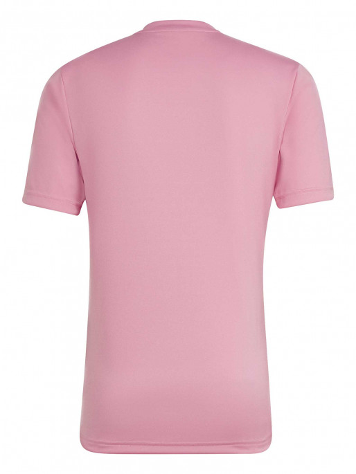 ADIDAS PERFORMANCE Тениска Entrada 22 Graphic Jersey