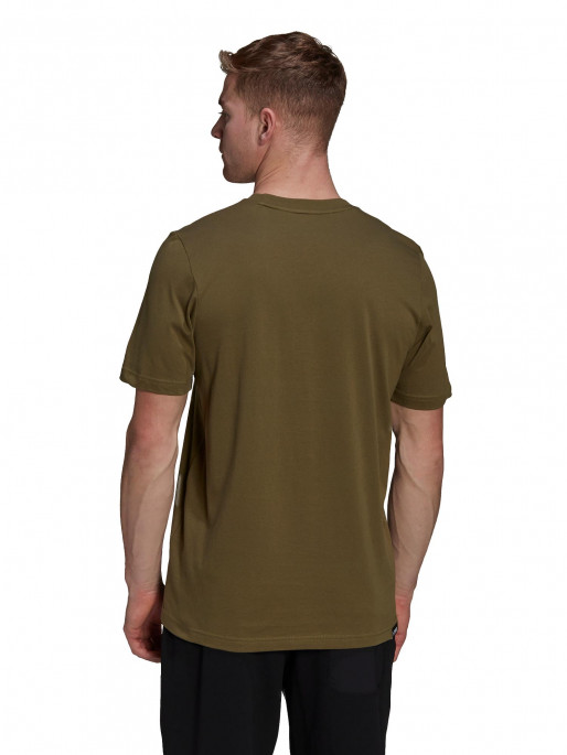 ADIDAS PERFORMANCE Majica Terrex Patch Mountain Graphic