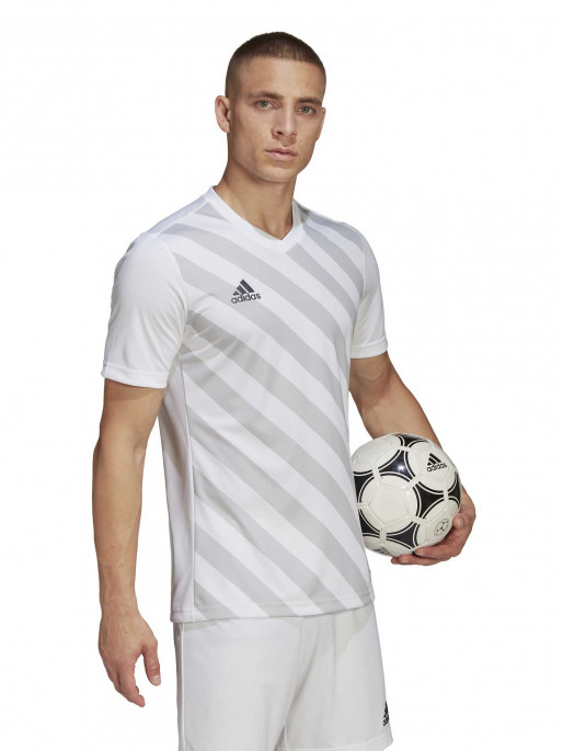 ADIDAS PERFORMANCE Tricou Entrada 22 Graphic Jersey