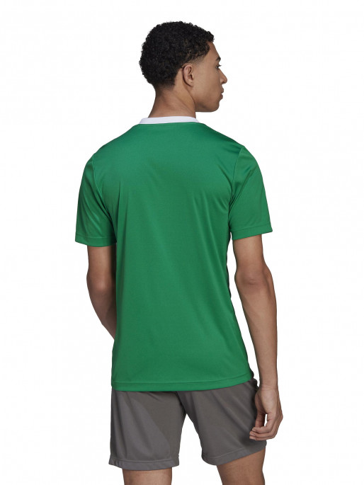 ADIDAS TEAM Κοντομάνικη Μπλούζα Entrada 22