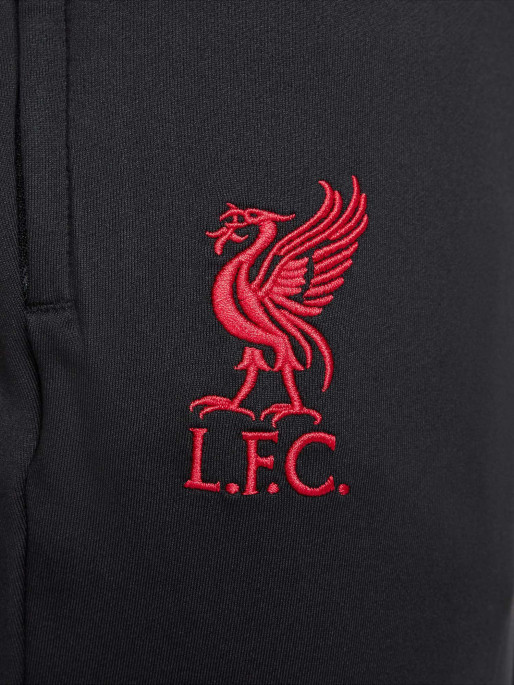 NIKE LFC M NK DF STRK PANTS KPZ SE