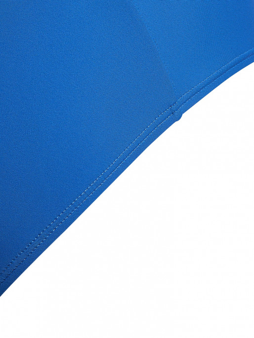 ADIDAS PERFORMANCE Badge of Sport Swimsuit