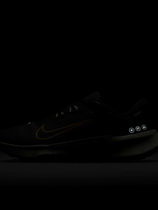 NIKE Incaltaminte Juniper Trail 2 Gtx V2