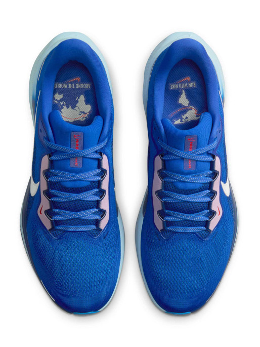 NIKE Incaltaminte Air Zoom Pegasus 41 Cm