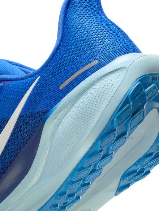NIKE Incaltaminte Air Zoom Pegasus 41 Cm