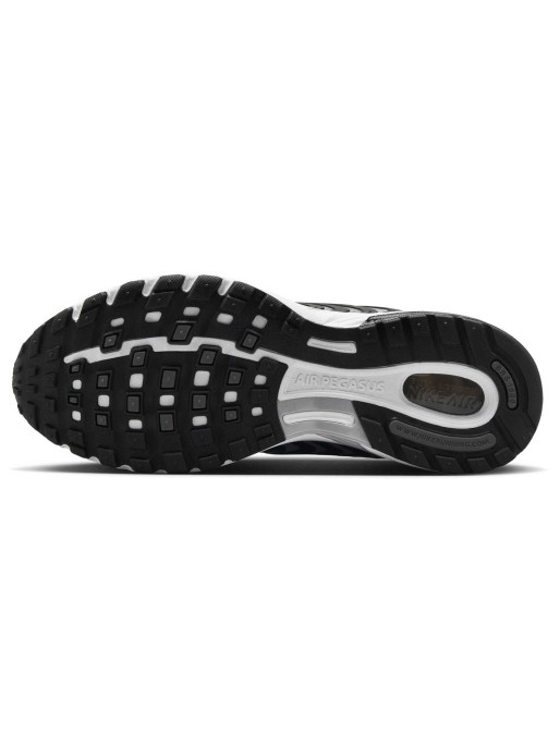 NIKE Incaltaminte Air Pegasus 2005