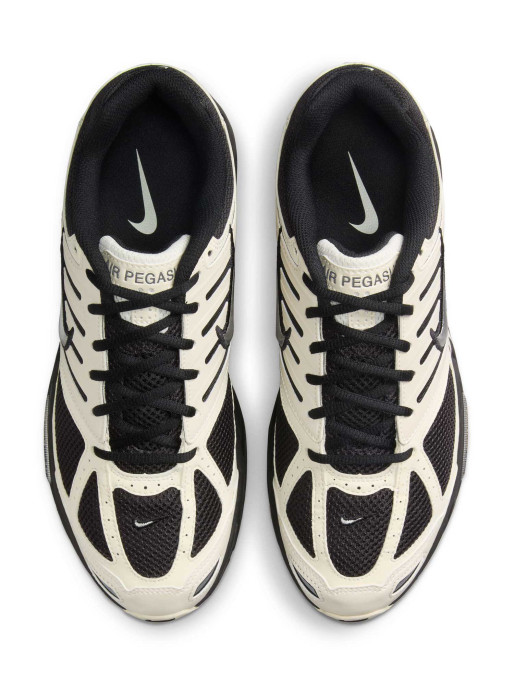 NIKE Incaltaminte Air Pegasus 2005