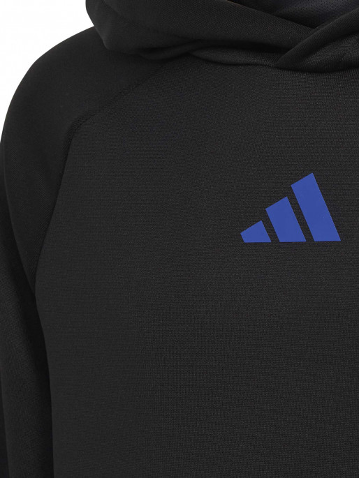 ADIDAS SPORTSWEAR Train Icons AEROREADY 3-Stripes Hoodie