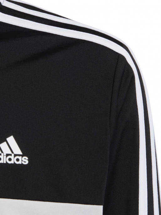 ADIDAS SPORTSWEAR Essentials 3-Stripes Tiberio Tracksuit