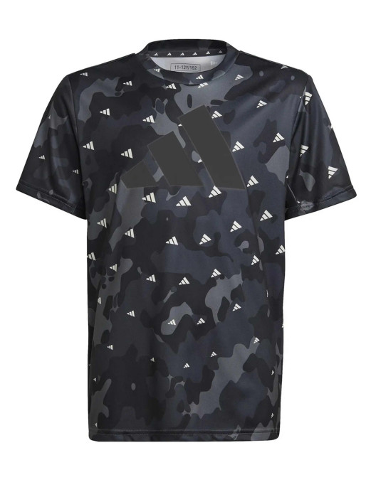 ADIDAS SPORTSWEAR Train Essentials Seasonal AEROREADY T-shirt