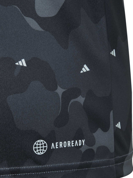 ADIDAS SPORTSWEAR Train Essentials Seasonal AEROREADY T-shirt