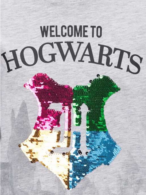 KIDS MOVIE HEROES HARRY POTTER Sweatshirt