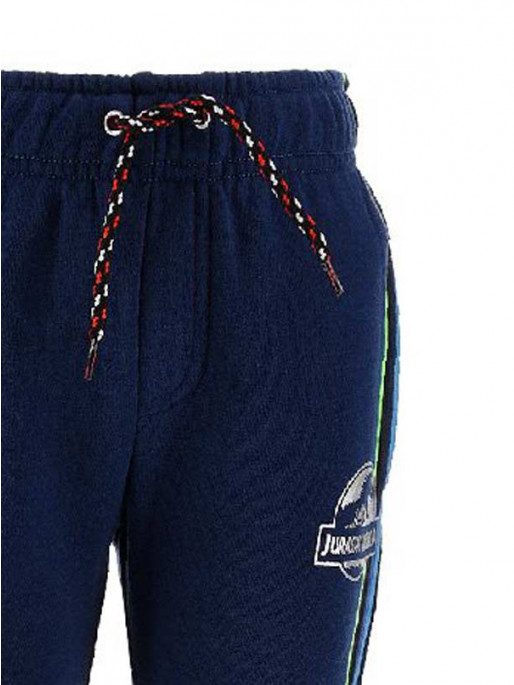 KIDS MOVIE HEROES JURASSIC WORLD Pants