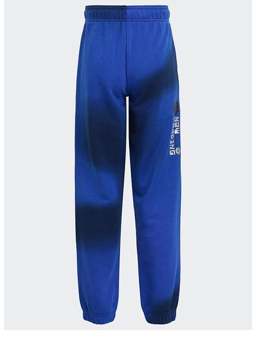 ADIDAS SPORTSWEAR ARKD3 Cargo Pants