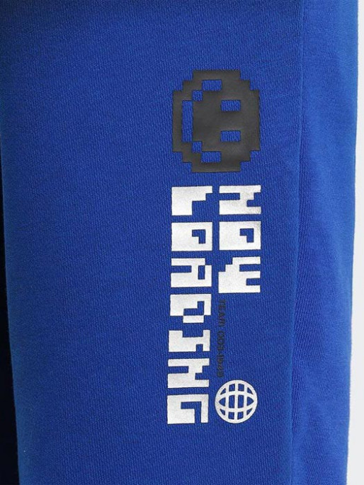 ADIDAS SPORTSWEAR ARKD3 Cargo Pants