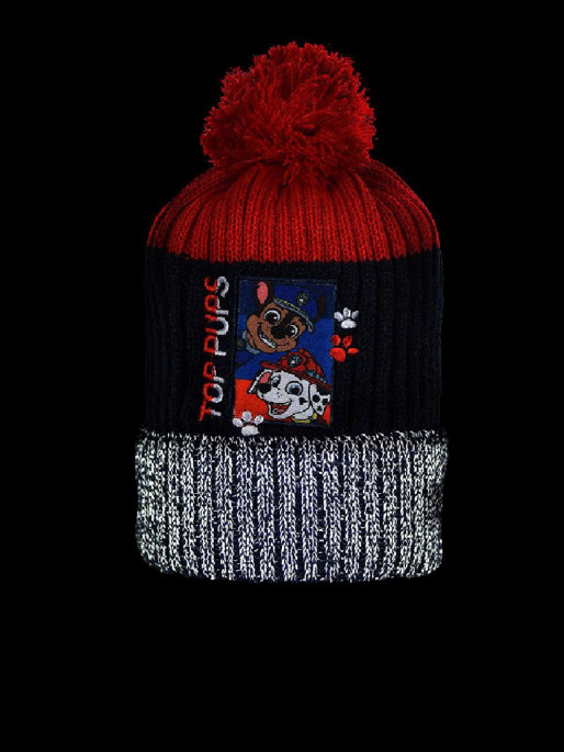 SUN CITY Fes Paw Patrol