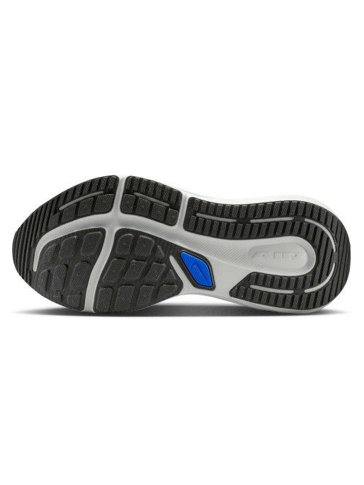 NIKE Обувки AIR WINFLO 12