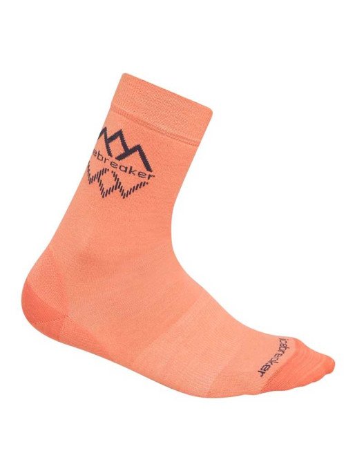 ICEBREAKER W Life Fine Gauge Crew IB Logo Reflectio Socks