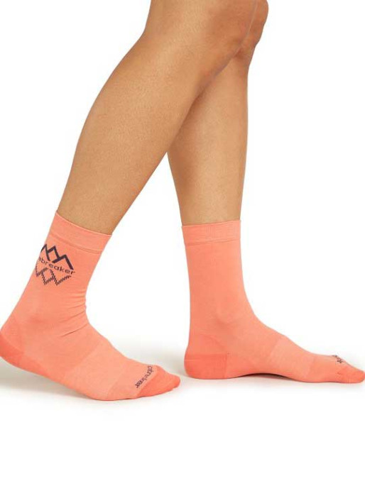 ICEBREAKER W Life Fine Gauge Crew IB Logo Reflectio Socks