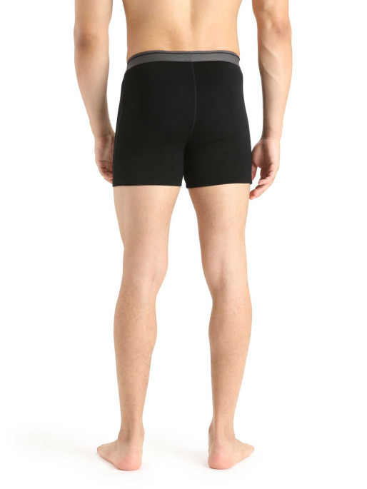 ICEBREAKER Αθλητικά Εσώρουχα M Anatomica Boxers wFly