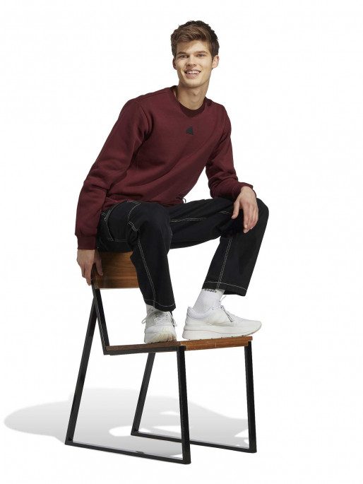 ADIDAS SPORTSWEAR Bluza City Escape Sweatshirt