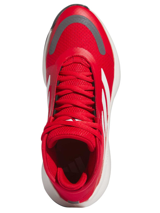 ADIDAS PERFORMANCE Muške patike za košarku Bounce Legends