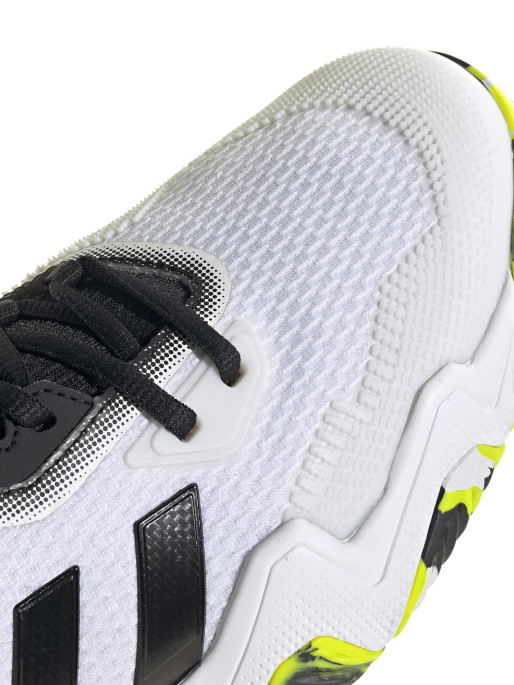 ADIDAS PERFORMANCE Incaltaminte Solematch Control 2 Tennis