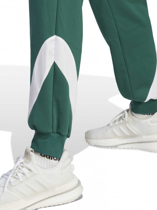 ADIDAS SPORTSWEAR Αθλητικό Σετ Sportswear Fleece Hooded