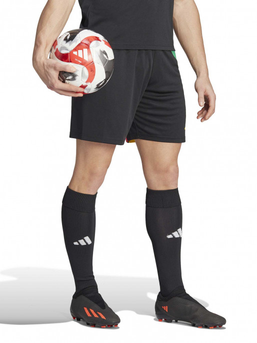 ADIDAS PERFORMANCE Αθλητικό Σορτς FORTORE 23