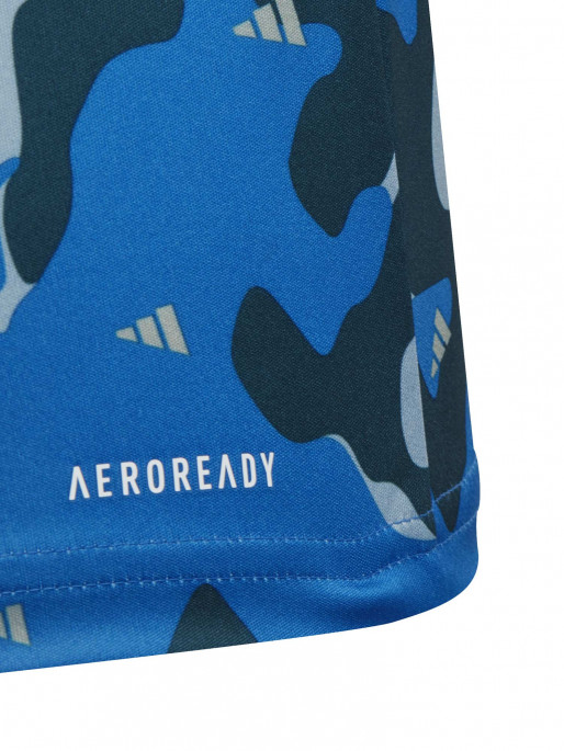 ADIDAS SPORTSWEAR Train Essentials Seasonal AEROREADY Tee
