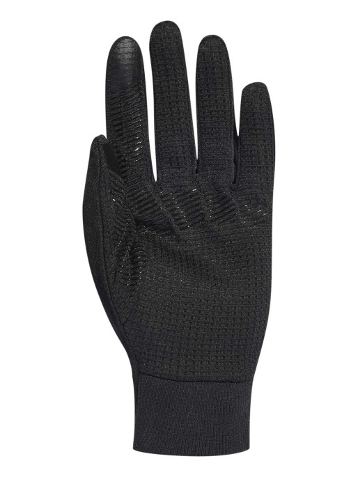 ADIDAS PERFORMANCE Γάντια Terrex COLD.RDY Gloves