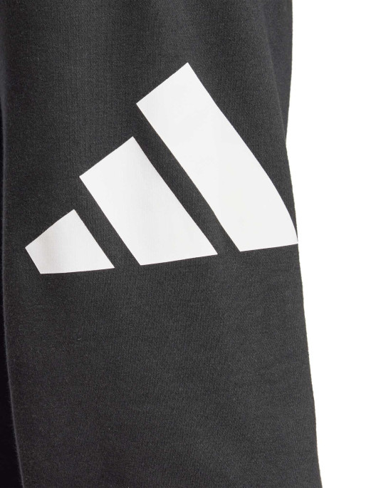 ADIDAS SPORTSWEAR Αθλητικό Παντελόνι Essentials Big Logo French Terry