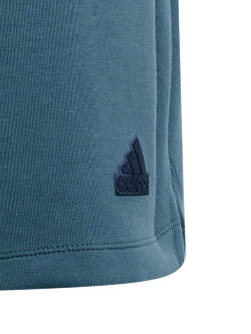 ADIDAS SPORTSWEAR Z.N.E. Premium Shorts