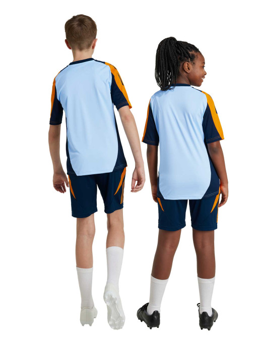 ADIDAS PERFORMANCE Shorts Real Madrid Tiro 24 Competition