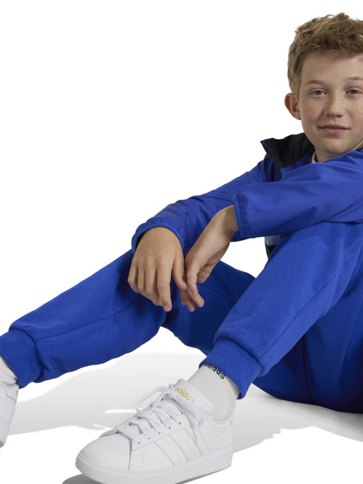 ADIDAS SPORTSWEAR Essentials Regular Fit Pants