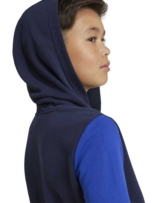 ADIDAS SPORTSWEAR Junior Essentials Big Logo Colorblock Hoodie