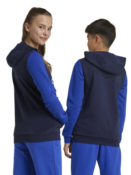 ADIDAS SPORTSWEAR Junior Essentials Big Logo Colorblock Hoodie