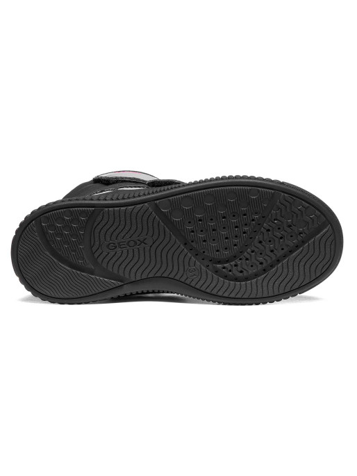 GEOX