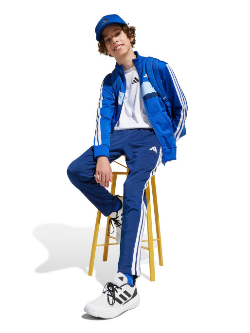 ADIDAS SPORTSWEAR Trening Seasonal Essentials Tiberio 3-stripes