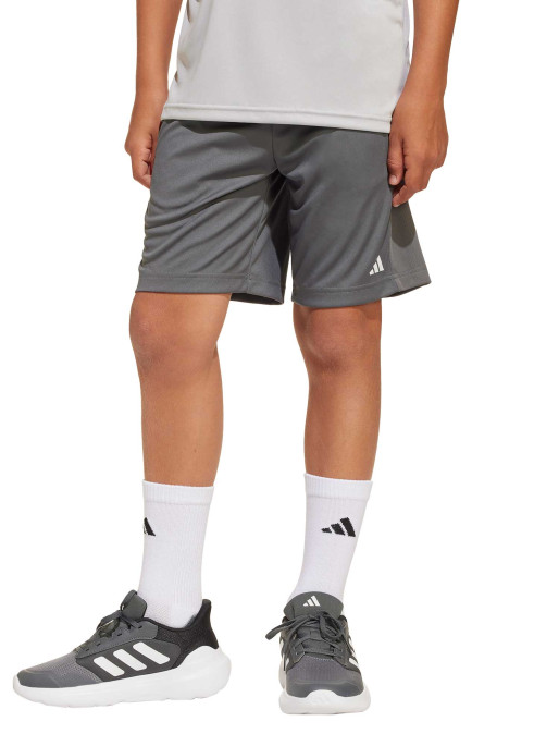 ADIDAS SPORTSWEAR Shorts Train Essentials Logo Regular Fit