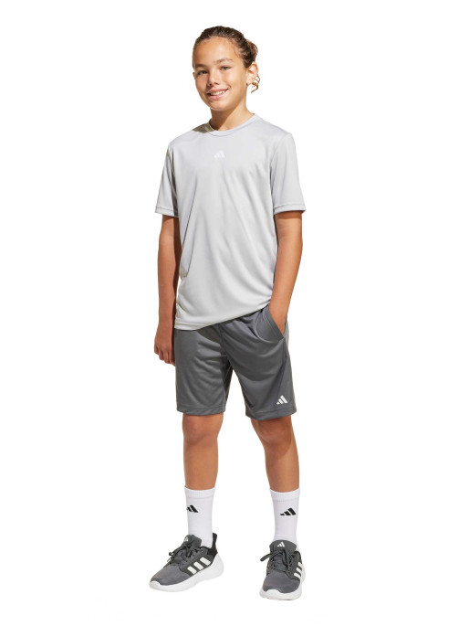 ADIDAS SPORTSWEAR Shorts Train Essentials Logo Regular Fit