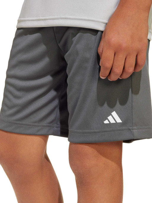 ADIDAS SPORTSWEAR Shorts Train Essentials Logo Regular Fit