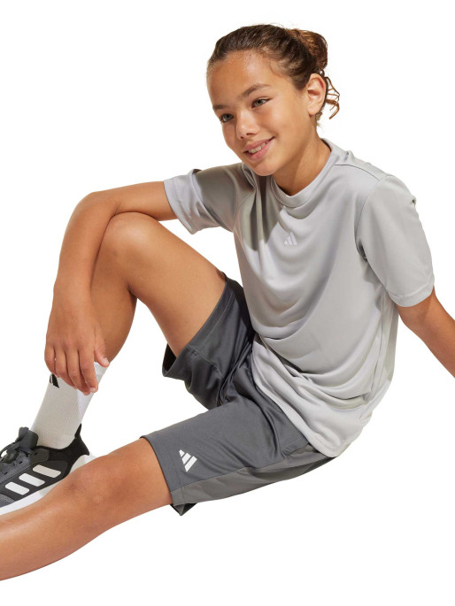 ADIDAS SPORTSWEAR Shorts Train Essentials Logo Regular Fit