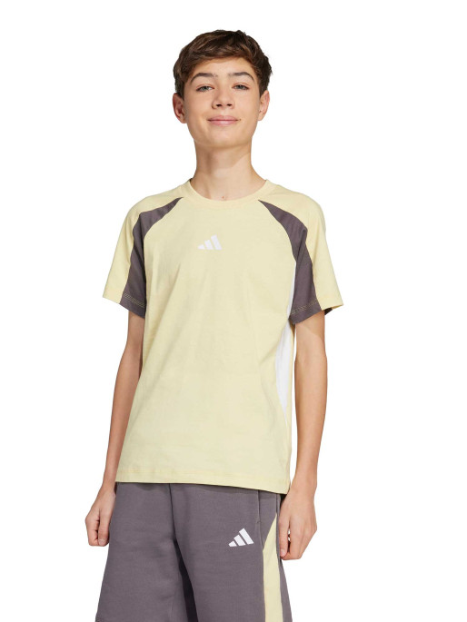 ADIDAS SPORTSWEAR Seasonal Essentials Colorblock T-Shirt