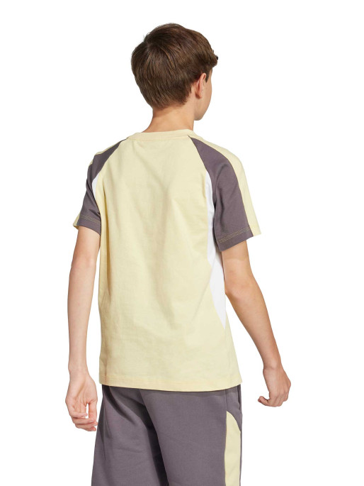 ADIDAS SPORTSWEAR Seasonal Essentials Colorblock T-Shirt
