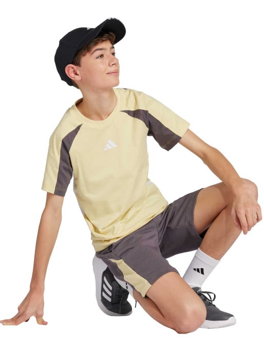 ADIDAS SPORTSWEAR Seasonal Essentials Colorblock T-Shirt