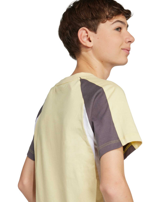 ADIDAS SPORTSWEAR Seasonal Essentials Colorblock T-Shirt