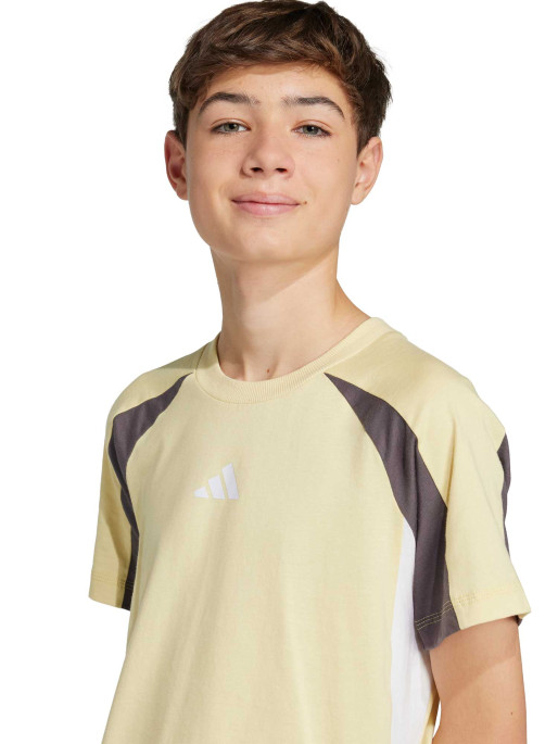 ADIDAS SPORTSWEAR Seasonal Essentials Colorblock T-Shirt