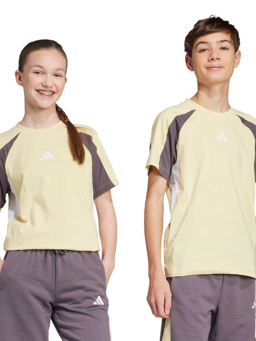 ADIDAS SPORTSWEAR Seasonal Essentials Colorblock T-Shirt