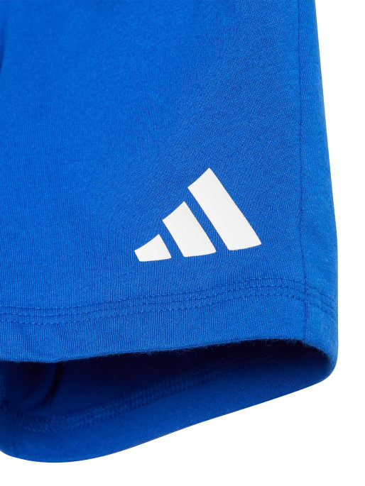 ADIDAS SPORTSWEAR Trening Essentials Set Kids